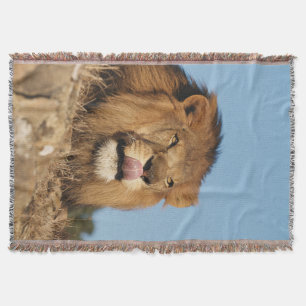 Afrikaanse Leeuw (Panthera Leo), Afrikaanse savann Deken