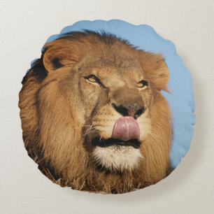 Afrikaanse Leeuw (Panthera Leo), Afrikaanse savann Rond Kussen