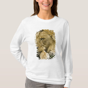 Afrikaanse Leeuw, Panthera leo, slapend op de gron T-shirt
