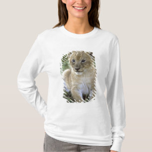 Afrikaanse leeuw, Panthera leo), Tanzania, T-shirt