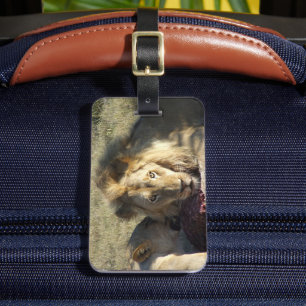 Afrikaanse Leeuw Stare Bagagelabel