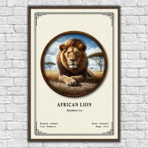 Afrikaanse Leeuw Zoologie Serie Poster