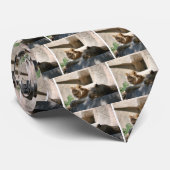 Afrikaanse leeuwen stropdas (Opgerold)