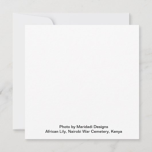 Afrikaanse lelie (Achterkant)