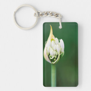Afrikaanse lelie, Agapanthus Praecox, Kaapstad Sleutelhanger
