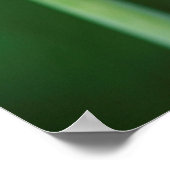 Afrikaanse Lily, Agapanthus Praecox, Kaapstad Poster (Hoek)