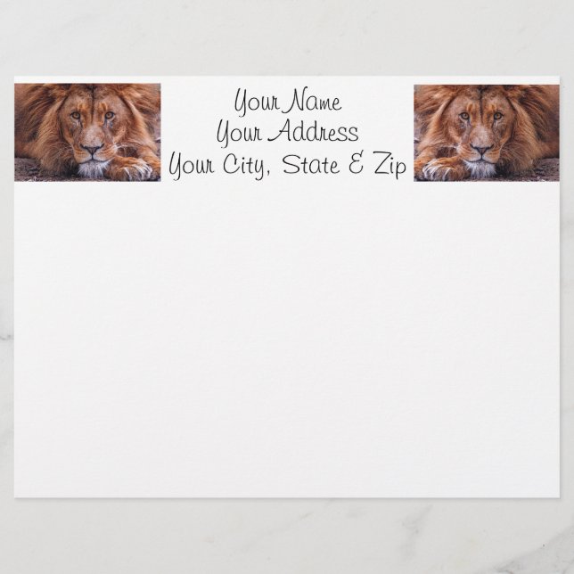 Afrikaanse lion (Voorkant)