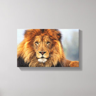 Afrikaanse lion 1 canvas afdruk