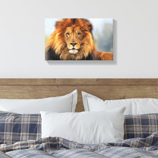 Afrikaanse lion 1 canvas afdruk (Insitu (Slaapkamer))