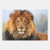 Afrikaanse lion 1 inpakpapier vel (Voorkant)