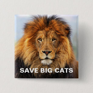 Afrikaanse lion 1 vierkante button 5,1 cm