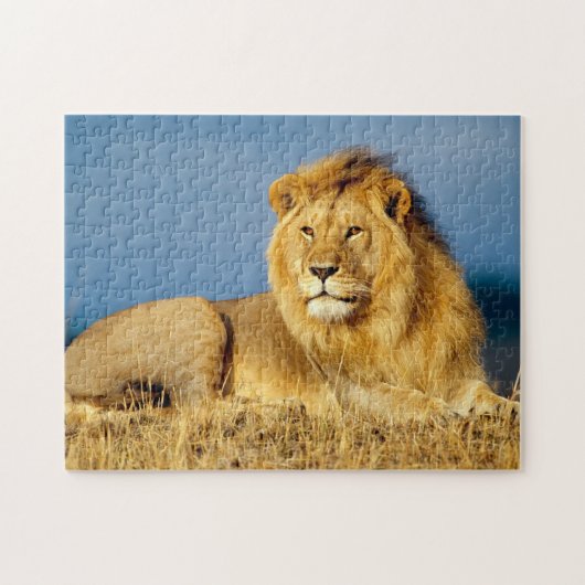 Afrikaanse Lion 2 Legpuzzel (Horizontaal)
