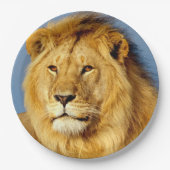Afrikaanse Lion 2 Papieren Bordje (Voorkant)