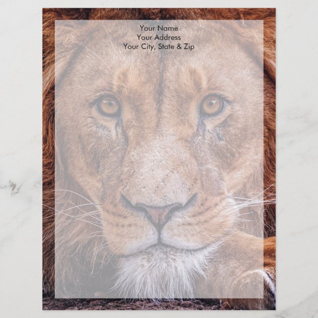 Afrikaanse lion briefhoofd (Voorkant)