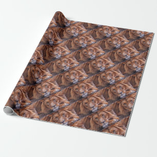 Afrikaanse lion cadeaupapier