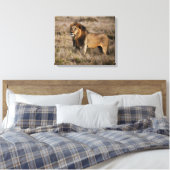 Afrikaanse lion canvas afdruk (Insitu (Slaapkamer))