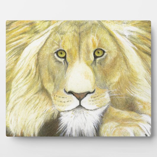 Afrikaanse lion fotoplaat (Voorkant)