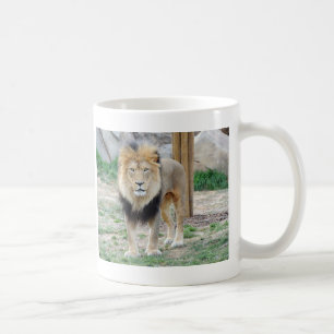 Afrikaanse lion koffiemok