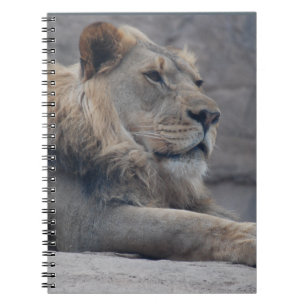 Afrikaanse lion notitieboek