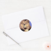 Afrikaanse lion ronde sticker (Envelop)