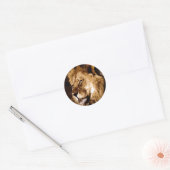 Afrikaanse lion ronde sticker (Envelop)