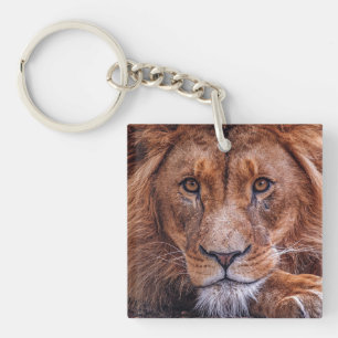 Afrikaanse lion sleutelhanger