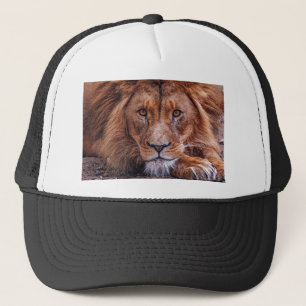 Afrikaanse lion trucker pet