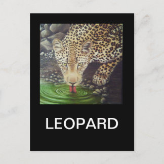 Afrikaanse luipaard briefkaart