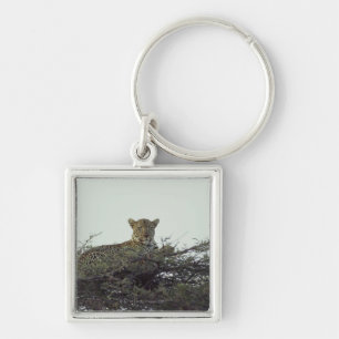 Afrikaanse luipaard sleutelhanger