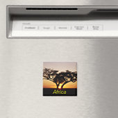 Afrikaanse magneet (Insitu (Vaatwasser))