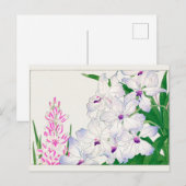 Afrikaanse maïslelly, Vanda coerulea, Tanigami Kon Briefkaart (Voorkant / Achterkant)