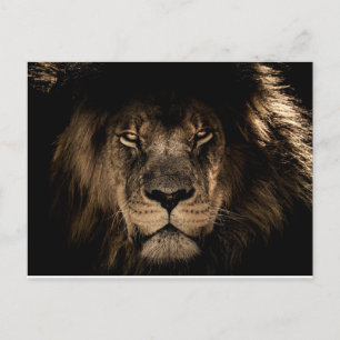 AFRIKAANSE MALE LION-BRIEFKAARTEN FEESTDAGENKAART
