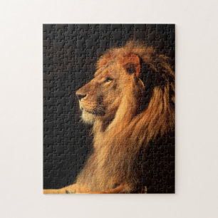 Afrikaanse Mannelijke Leeuw; Wilde puzzels door St
