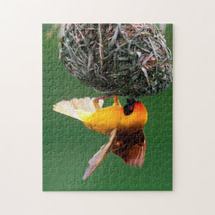 Afrikaanse Maskerwever (Ploceus Velatus) Legpuzzel
