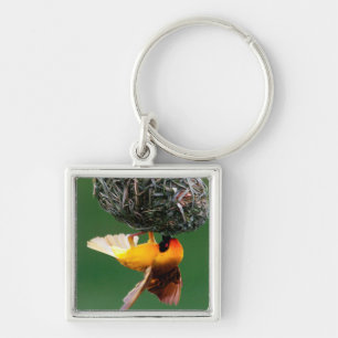 Afrikaanse Maskerwever (Ploceus Velatus) Sleutelhanger