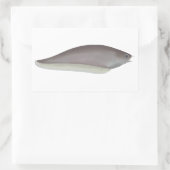 Afrikaanse messenvis rechthoekige sticker (Tas)