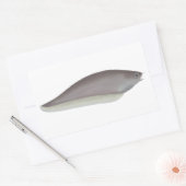 Afrikaanse messenvis rechthoekige sticker (Envelop)