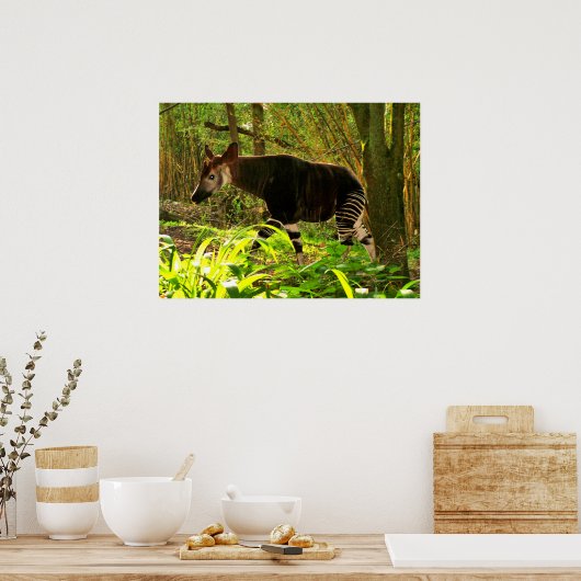 Afrikaanse Okapi Poster (Keuken)