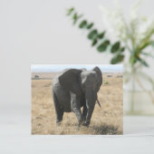 afrikaanse olifant briefkaart (Staand voorkant)