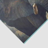 Afrikaanse olifant dicht tissuepapier (Detail)