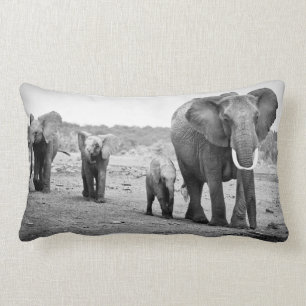 Afrikaanse olifant en kalveren   Kenia, Afrika Kussen