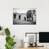 Afrikaanse olifant en kalveren | Kenia, Afrika Poster (Thuiskantoor)