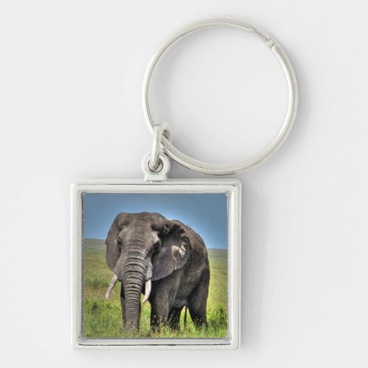 Afrikaanse olifant en Savannah Grasses Sleutelhanger (Voorkant)