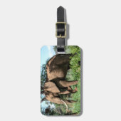 Afrikaanse olifant in de Safari Bagagelabel (Voorkant verticaal)