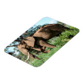 Afrikaanse olifant in de Safari Magneet (Linkerzijde)