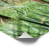 Afrikaanse olifant in de Safari Perfect Poster (Hoek)