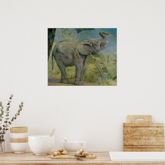 Afrikaanse olifant in het Oerwoud, EJ Detmold Poster (Keuken)