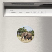 Afrikaanse olifant in Masai Mara, Kenia magneet (Insitu (Vaatwasser))