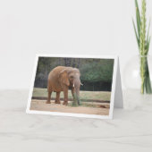 Afrikaanse olifant in park kaart (Voorkant)