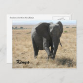 afrikaanse olifant kenya briefkaart (Voorkant / Achterkant)